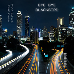 Bye Bye Blackbird