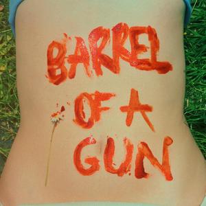 Barrel of a Gun