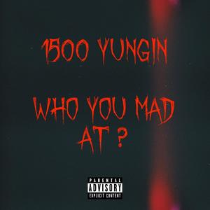 Who You Mad At ? (Explicit)