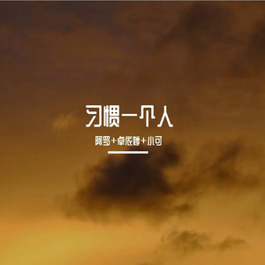 新年快乐 (DJ版)