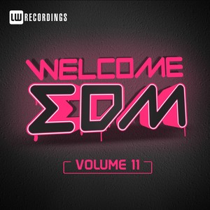 Welcome EDM, Vol. 11