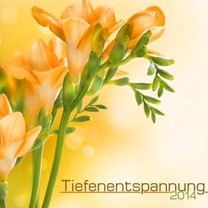 Tiefenentspannung 2014 (Musik Für Tiefenentspannung, Regeneration, Entspannungshauch, Spa Sounds, Gu