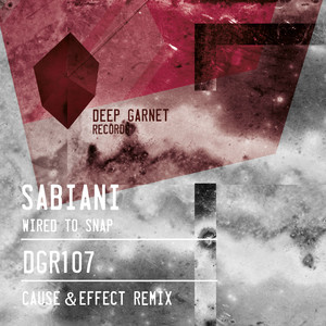 Wired To Snap (Cause & Effect remix)