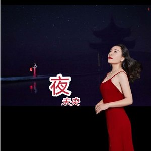 夜未央
