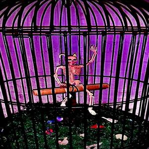 Silver Seoul (feat. tboGeorge & jetsun) (Explicit)