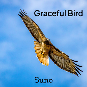 Graceful Bird