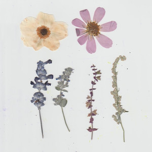 Blossom