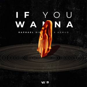 If You Wanna (Radio Edit)