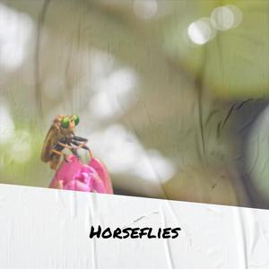 Horseflies