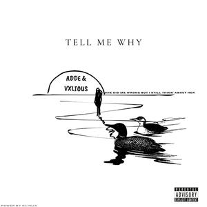 Tell Me Why (feat. Vxlious) [Explicit]