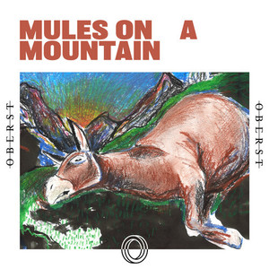 Mules on a Mountain