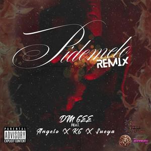 Pidemelo RMX (feat. Angelomusicpr, Sueya & KG) (Explicit)