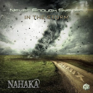 In The Storm (Remix)