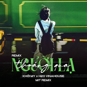 Người Lạ Thoáng Qua (Remix)