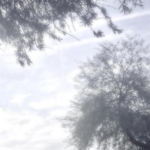 Battle Under the Borealis