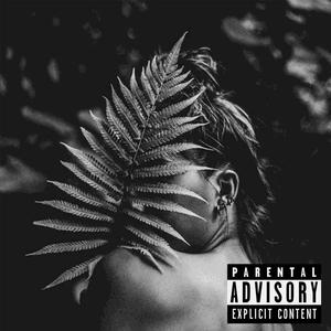 The Jungle (Explicit)