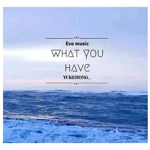 你拥有的 What You Have