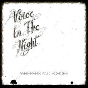 Voice in the Night: Whispers and Echoes