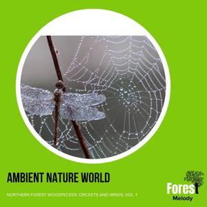 Ambient Nature World - Northern Forest Woodpecker, Crickets and Winds, Vol. 1