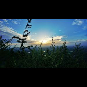 Beat78 for the instruments.