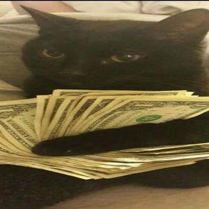 forgot what she said