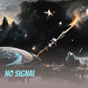 No Signal