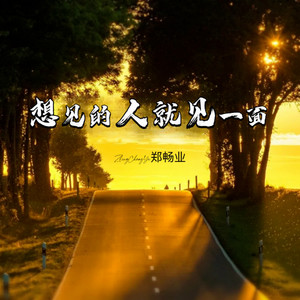 郑畅业《想见的人就见一面》[MP3_LRC]_MP3免费下载