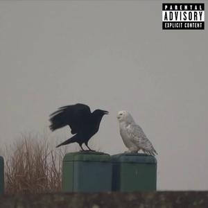 VINCENT CAGE (Explicit)