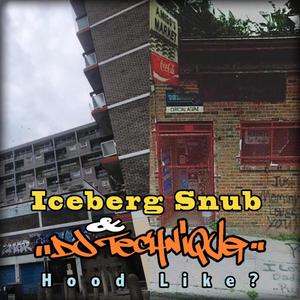 Hood Like? (feat. Iceburg Snub) (Explicit)