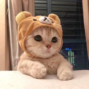 多想在平庸的生活拥抱你-唐泽