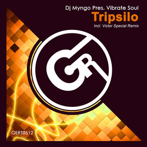 Tripsilo (Victor Special Remix)