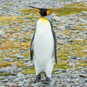 Giving Yall A Chance