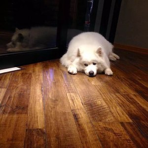 爱江山更爱美人