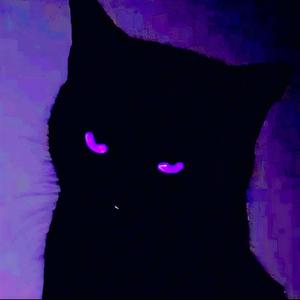 What can I (Brazilian phonk & Phonk) Slowed & Reverb