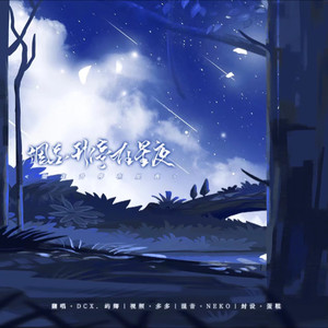 烟花升停在星夜