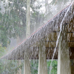 When It Rain (feat. OTM Gucci) (Explicit)