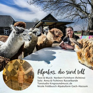 Alpakas, die sind toll