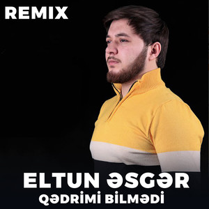 Qədrimi Bilmədi (Remix)