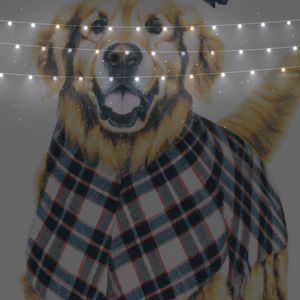 Polka Dot German Shepherd