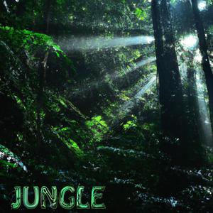 Jungle (feat. Linus Villa)