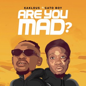 Are You Mad? (Explicit)