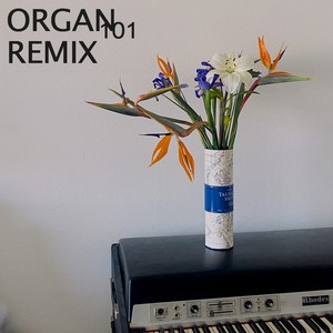 Organ 101 (Remix)