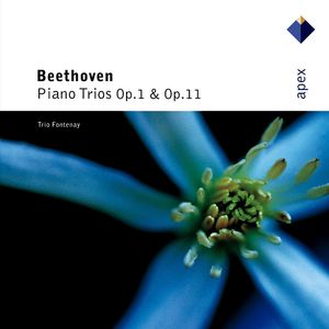 Trio Fontenay - Beethoven: Piano Trio No. 2 in G Major, Op. 1 No. 2 - II. Largo, con espressione