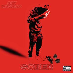 SOBER (Explicit)