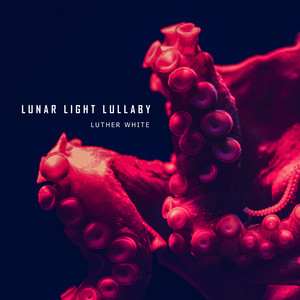Lunar Light Lullaby