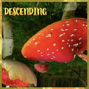 Descending (Explicit)