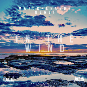 In The Wind (Explicit)