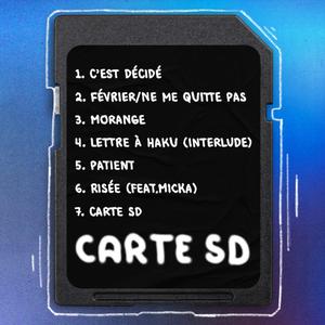 CARTE SD (Explicit)