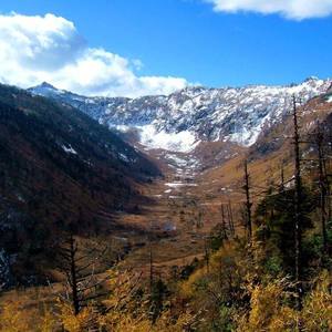 秋思（prod by 张良）