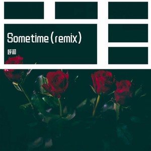 SeamlessR-Sometimes (呼和 remix)